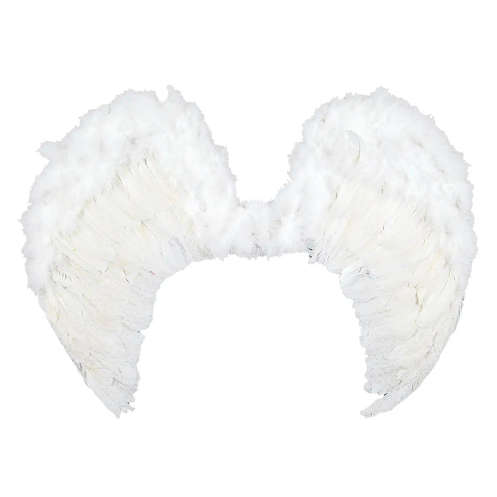 Alas de Angel con Plumas