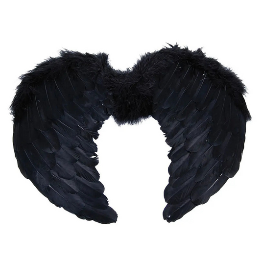 Alas de Angel con Plumas